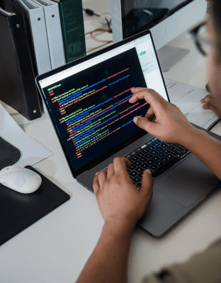 Web Development