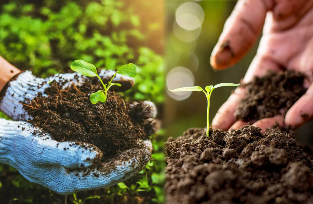 Building Better Stores: A Website That Grew Sales & Trust : Organic Brand